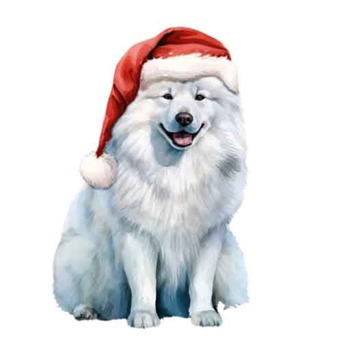 Dog877