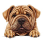 Dog892