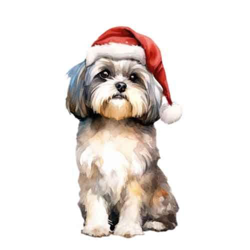 Dog904