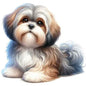 Dog907