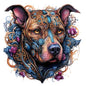 Dog91