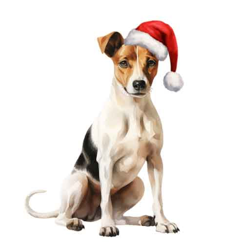 Dog915