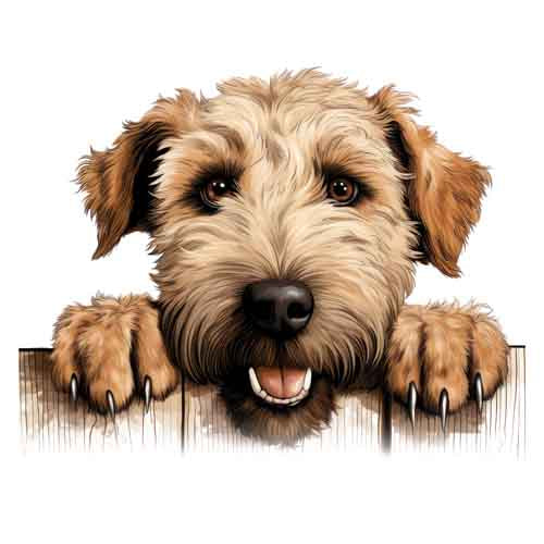 Dog916