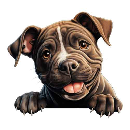 Dog925