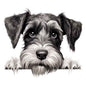 Dog928