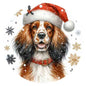 Dog929