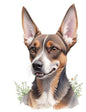 Dog931
