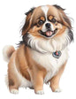 Dog935