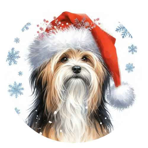 Dog936