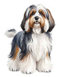 Dog937