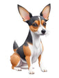 Dog939
