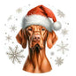 Dog944