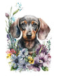 Dog95