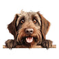 Dog962