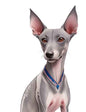 Dog963