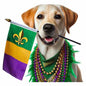 Mardi Gras569