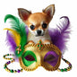 Mardi Gras587
