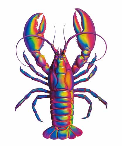 Mardi Gras635