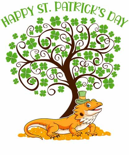 St Patrick1006