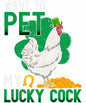St Patrick1117
