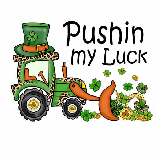 St Patrick179
