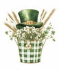 St Patrick212