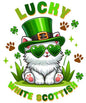 St Patrick61
