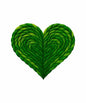 St Patrick703