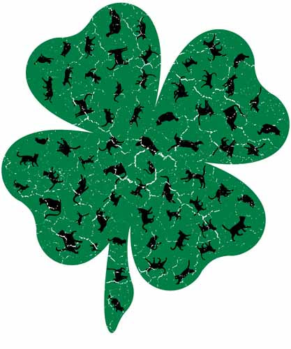 St Patrick977