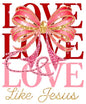 Valentine Day380