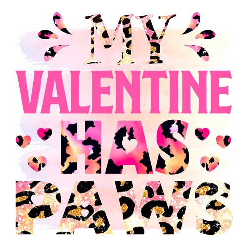 Valentine Day559