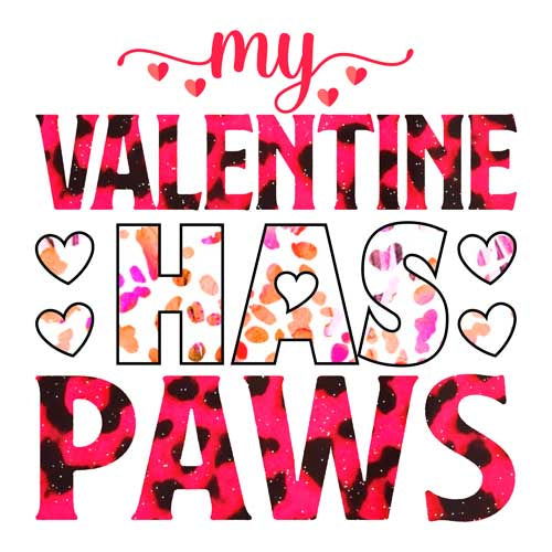 Valentine Day560