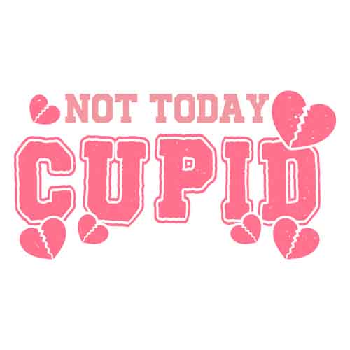Valentine Day1133
