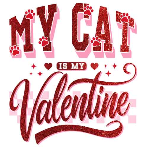 Valentine Day1302