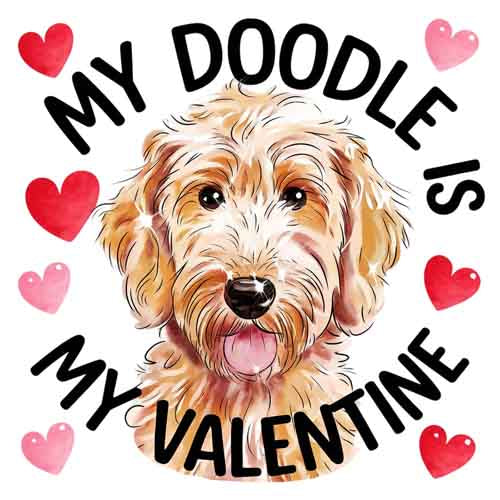 Valentine Day766