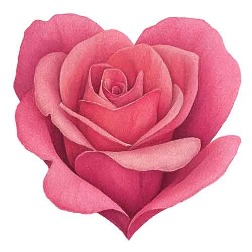 Valentine Day891