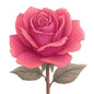 Valentine Day897
