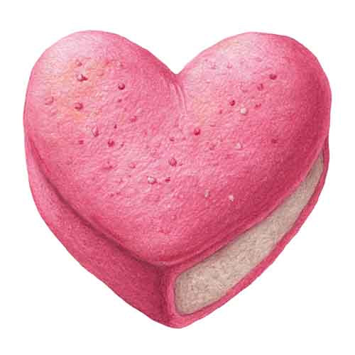 Valentine Day986