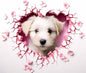 Valentines Day1551