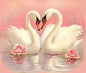 Valentines Day1848