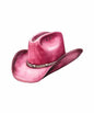 Western123
