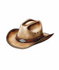 Western141